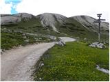 Rifugio Pederü - Muntejela de Sennes